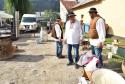 Michalské hody 2017 : Sobotný programFoto:Ing. R Michalské hody 2017 : Sobotný programFoto:Ing. R