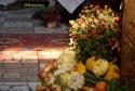Michalské hody 2017 : Nedežná svätá oma Foto:Ing Michalské hody 2017 : Nedežná svätá oma Foto:Ing