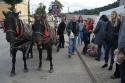 Michalské hody 2018 - sobotný jarmok a program fot Michalské hody 2018 - sobotný jarmok a program fot